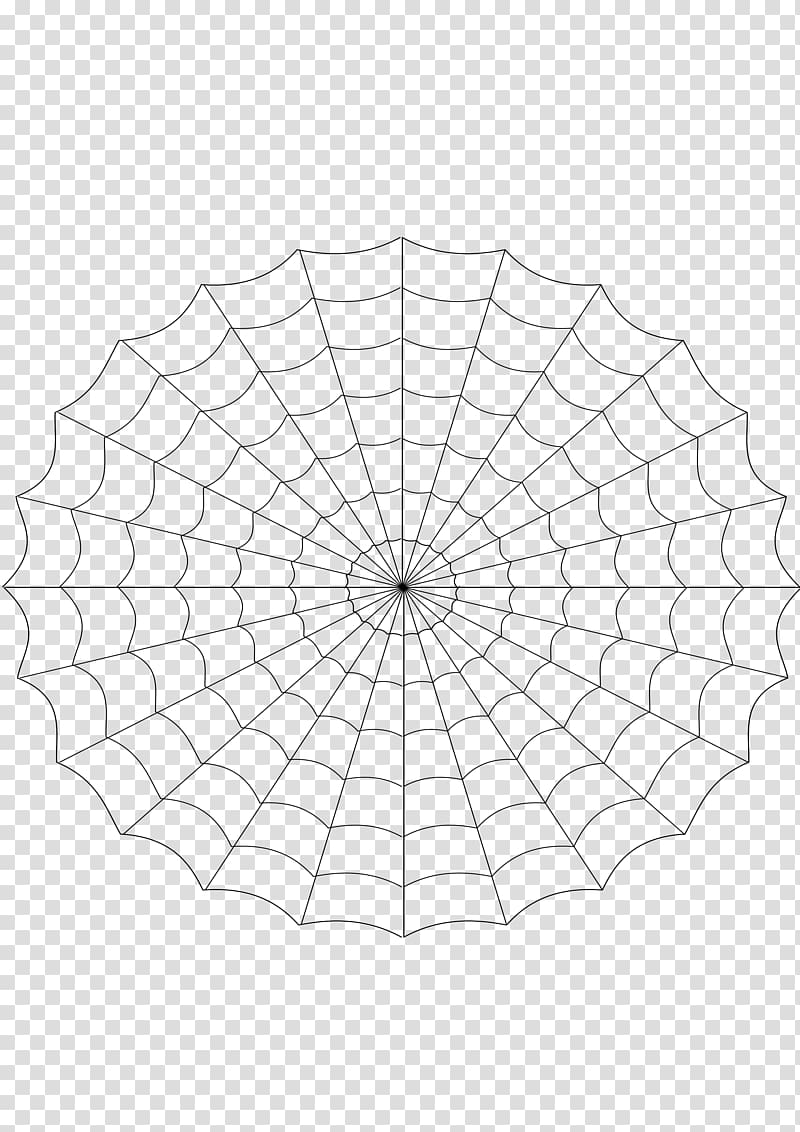 Point Leaf Angle Symmetry, spiderweb pattern transparent background PNG clipart