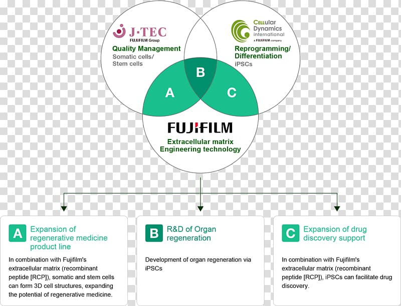 Regenerative medicine Regeneration Fujifilm Cell therapy, fig transparent background PNG clipart