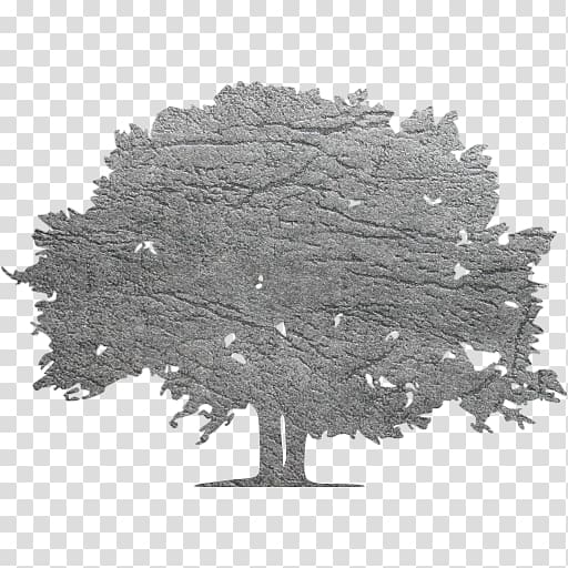 Landscape lighting Tree Renovation, tree transparent background PNG clipart