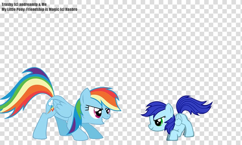 My Little Pony Rainbow Dash Rarity, rainbow night transparent background PNG clipart