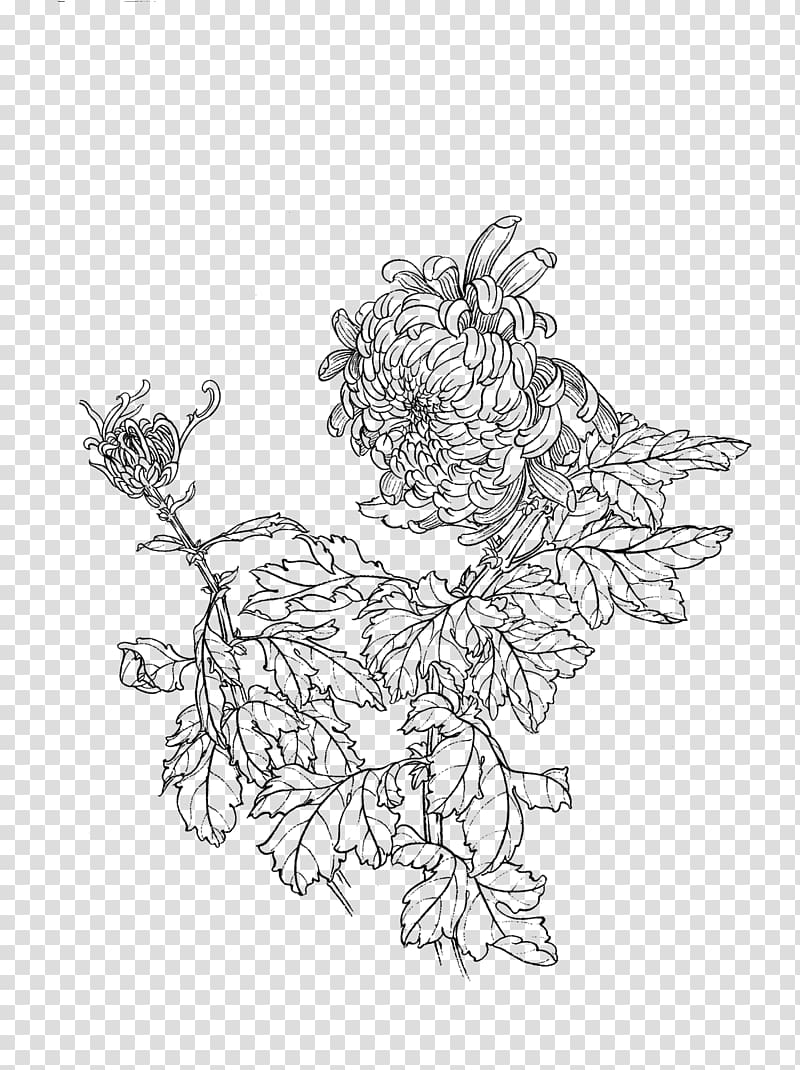 Painting Gongbi Line art u767du63cfu753b, chrysanthemum transparent background PNG clipart