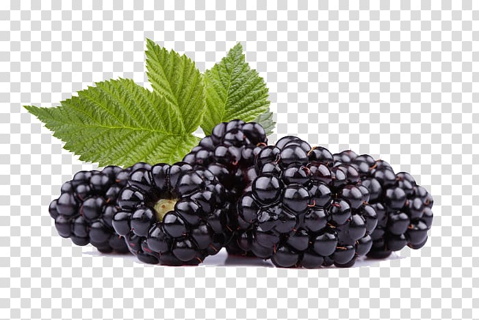 Frutti di bosco Black Raspberry Blackberry Fruit, Black Raspberries transparent background PNG clipart