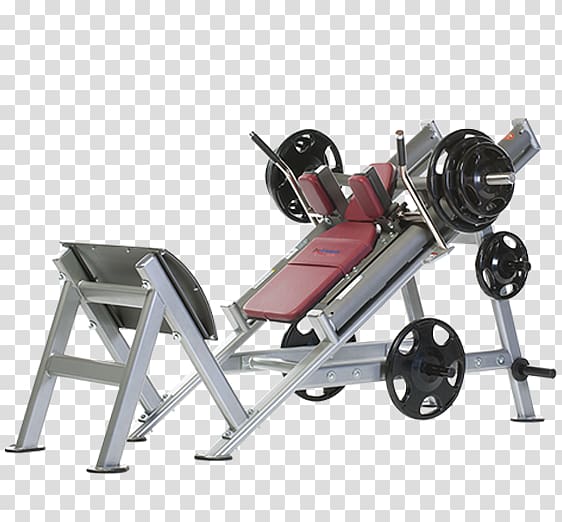 Faris Group Fitness Centre Fitness Shop Physical fitness Exercise equipment, squat fitness transparent background PNG clipart