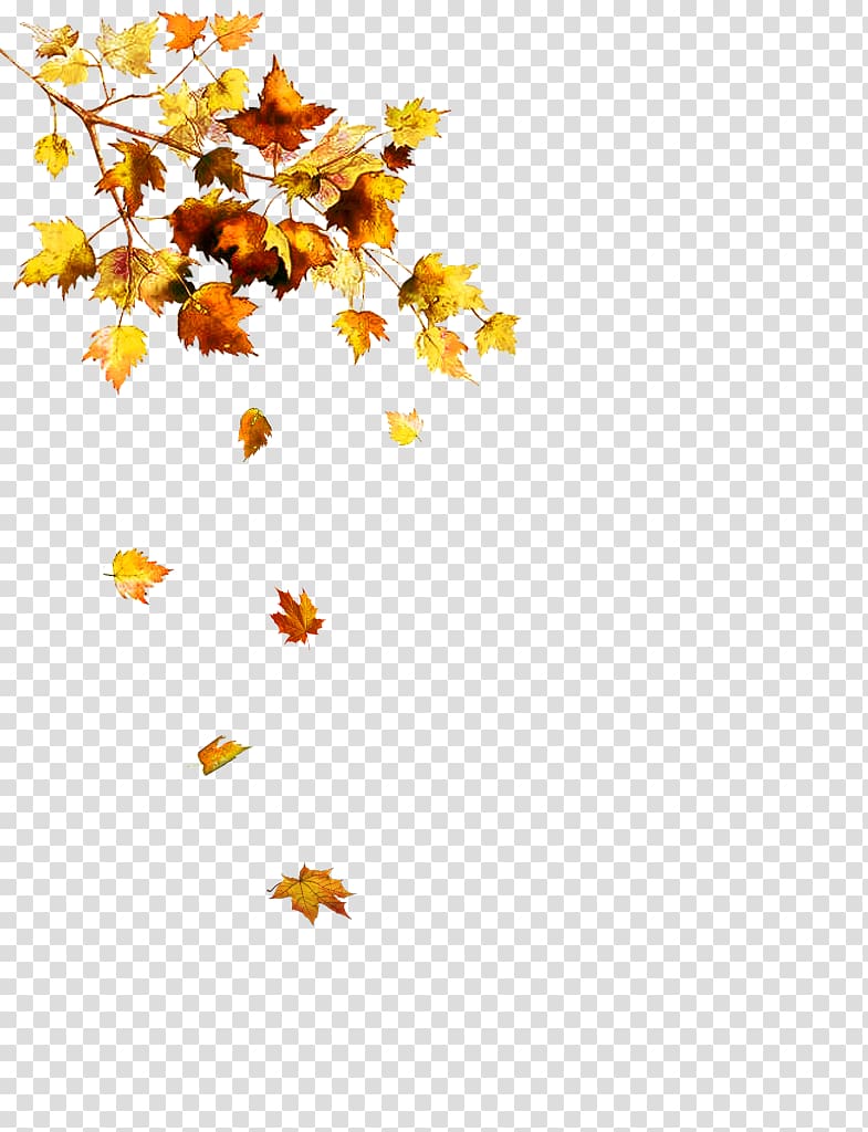 Autumn Leaf , autumn transparent background PNG clipart