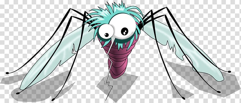 Mosquito Cartoon , mosquitoes transparent background PNG clipart