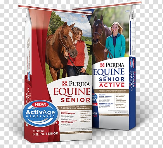 Horse Equine nutrition Purina Mills Nestlé Purina PetCare Company Veterinarian, horse transparent background PNG clipart