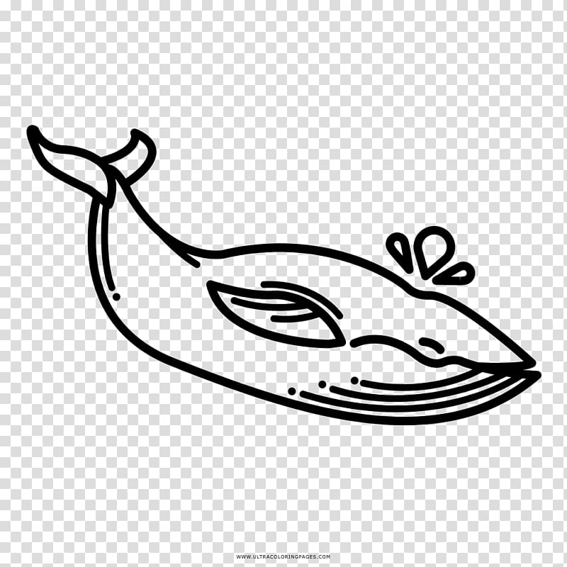Sperm whale Rudolph Blue whale Coloring book Drawing, ballena transparent background PNG clipart
