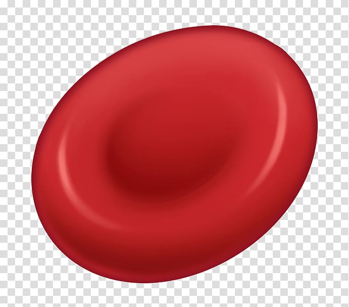 Red blood cell Cell nucleus, cell transparent background PNG clipart
