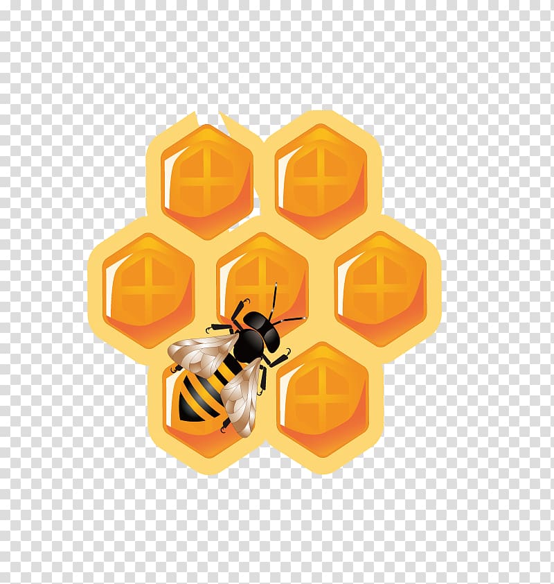 honey bee and honey comb illustration, Honey bee Honeycomb Icon, bee hive transparent background PNG clipart