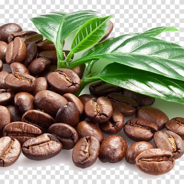 Coffee bean Espresso Cocoa bean, beans transparent background PNG clipart