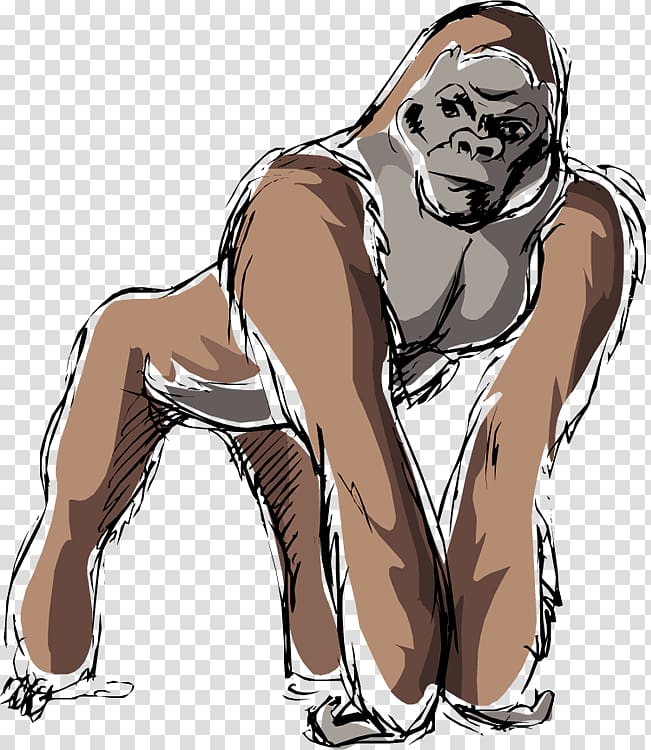 Western lowland gorilla Mountain gorilla Drawing , gorilla transparent background PNG clipart