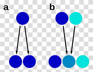 Line Point Angle , line transparent background PNG clipart thumbnail