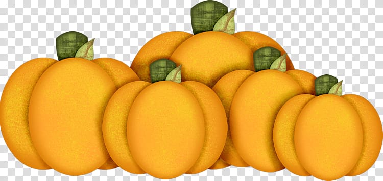 Pumpkin Halloween Jack-o-lantern Fruit, pumpkin transparent background PNG clipart