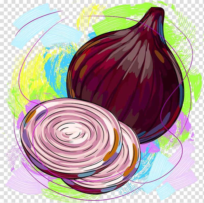 red onion , Onion Cartoon Vegetable Illustration, Onions transparent background PNG clipart