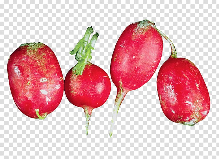 Garden radish Strawberry Vegetable Carrot, Plant vegetables transparent background PNG clipart