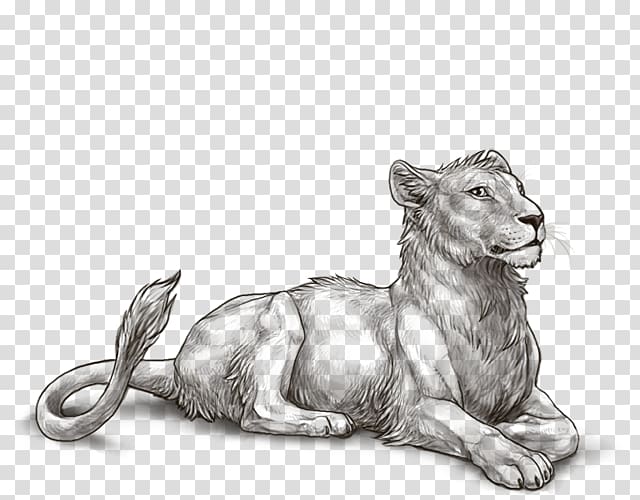 Lion Mutation Melanism Sirenomelia, lion head transparent background PNG clipart
