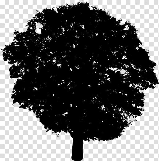 , Siluet tree transparent background PNG clipart