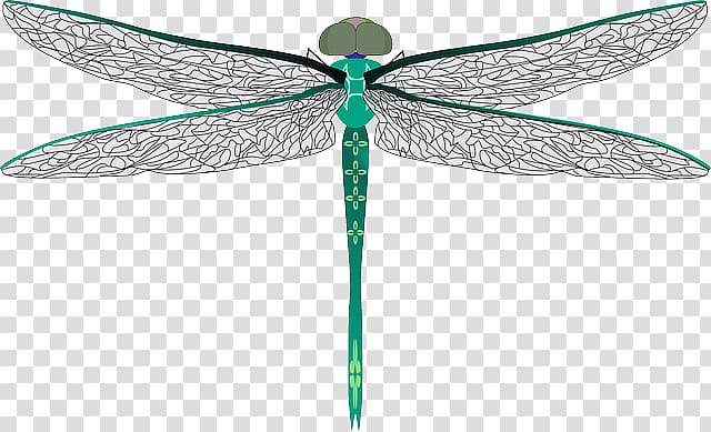 Dragonfly transparent background PNG clipart