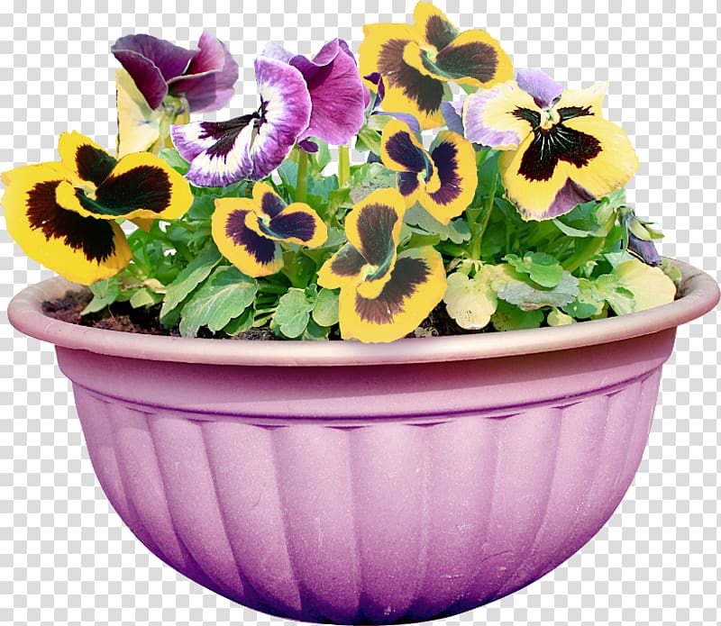 Pansy Cut flowers Flowerpot Floral design, flower transparent background PNG clipart