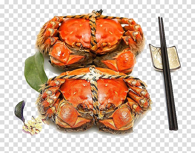 Yangcheng Lake large crab Yangcheng Lake large crab Seafood, Delicious crabs transparent background PNG clipart