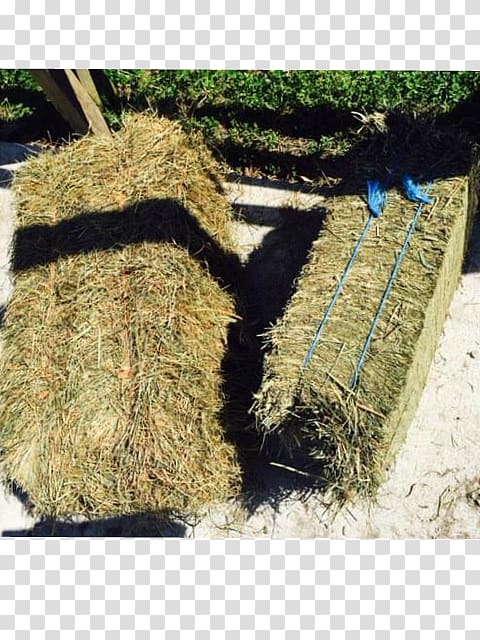 Hay Straw Baler Hampton Roads Grasses, hay bale transparent background PNG clipart