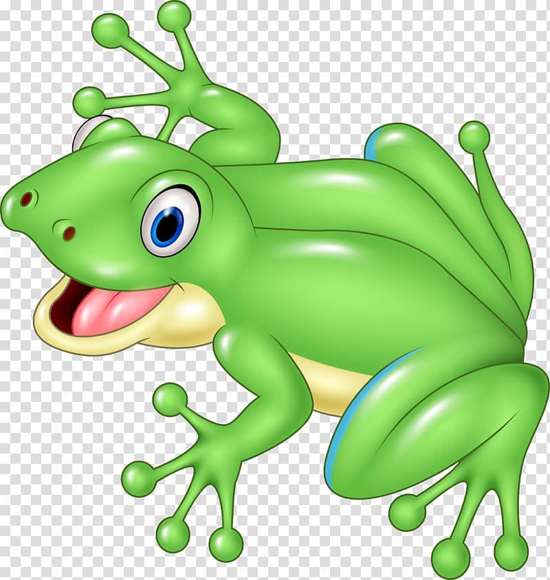 Frog Cartoon Illustration, Frog transparent background PNG clipart
