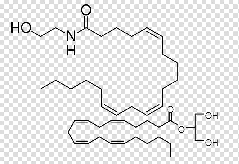 Anandamide Endocannabinoid system Tetrahydrocannabinol Cannabidiol, cannabis transparent background PNG clipart