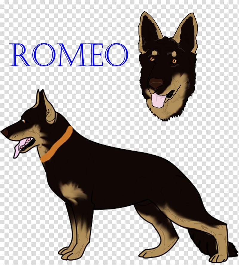 German Shepherd Kunming wolfdog Lapponian herder Australian Kelpie Dog breed, Australia transparent background PNG clipart