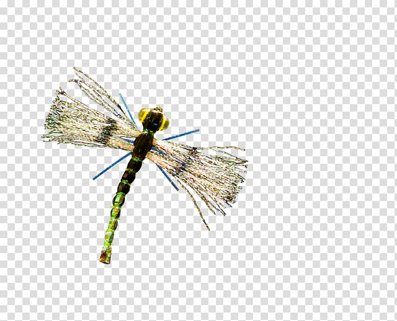 Insect Artificial fly, insect transparent background PNG clipart