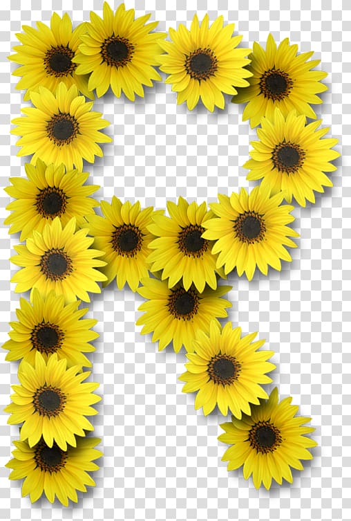 Common sunflower Letter Alphabet, flower transparent background PNG clipart