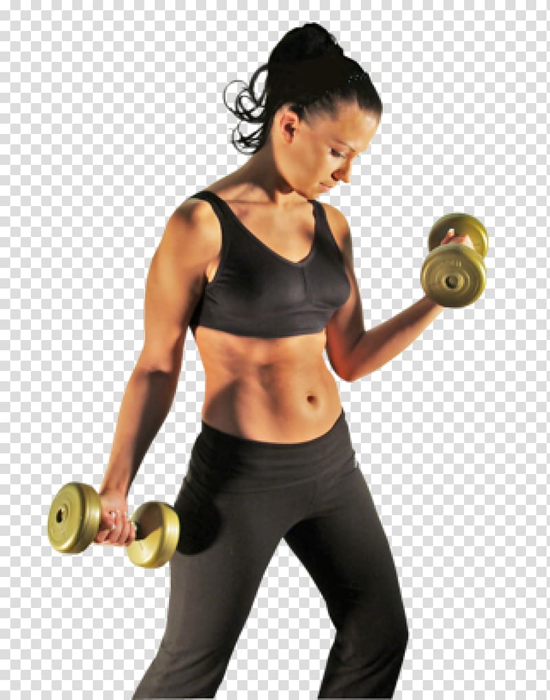 Aerobic exercise Fitness Centre Physical fitness Weight training, others transparent background PNG clipart