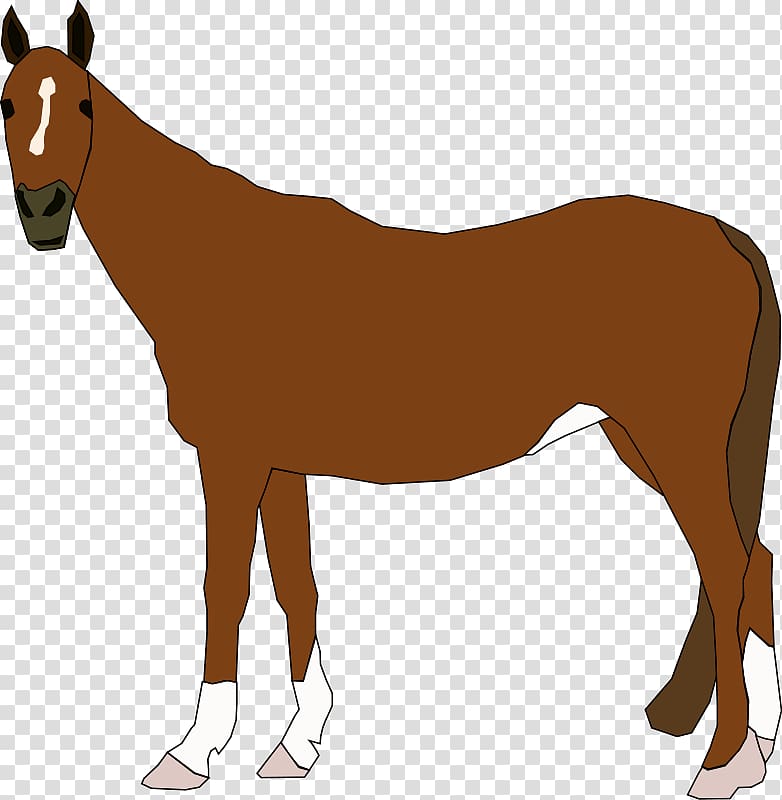 Clydesdale horse Foal Free content , Free Animals transparent background PNG clipart