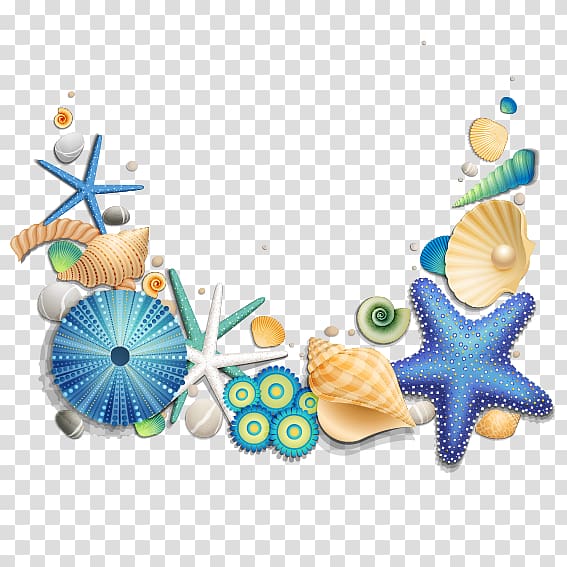 multicolored shells , Seashell , Blue starfish and shells transparent background PNG clipart