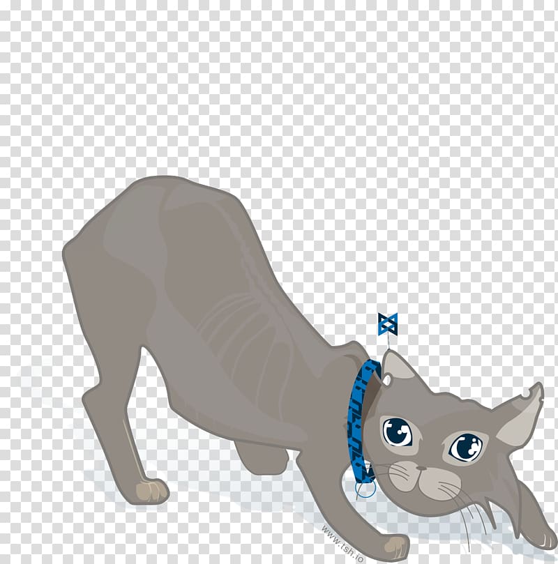 Whiskers Cat Dog Tail JavaScript framework, backbone transparent background PNG clipart
