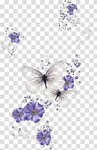 white butterfly transparent background PNG clipart