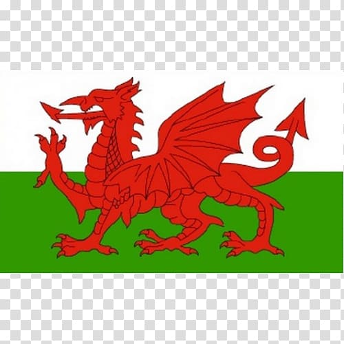 Flag of Wales Welsh Dragon National flag, Welsh Flag transparent background PNG clipart