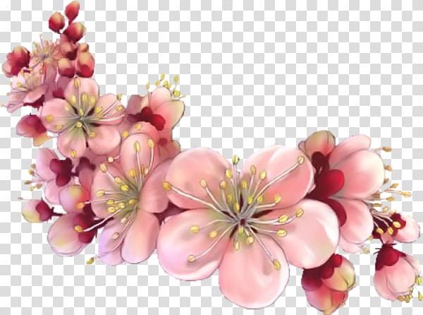 Saturday Morning, floating petals transparent background PNG clipart