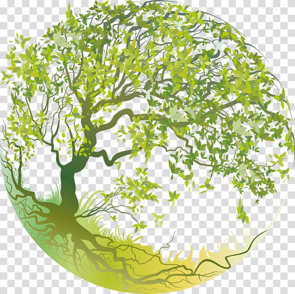 Tree of life Symbolisme des arbres Christmas tree, tree transparent background PNG clipart