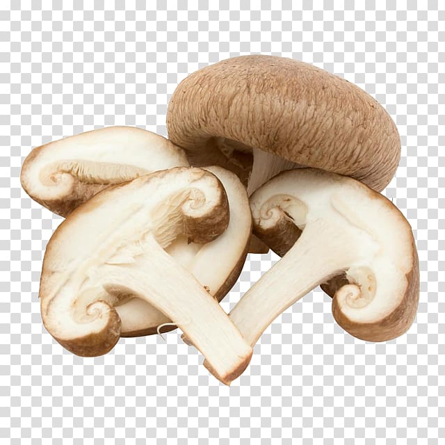 Common mushroom Edible mushroom Fungus Vegetable, mushroom transparent background PNG clipart