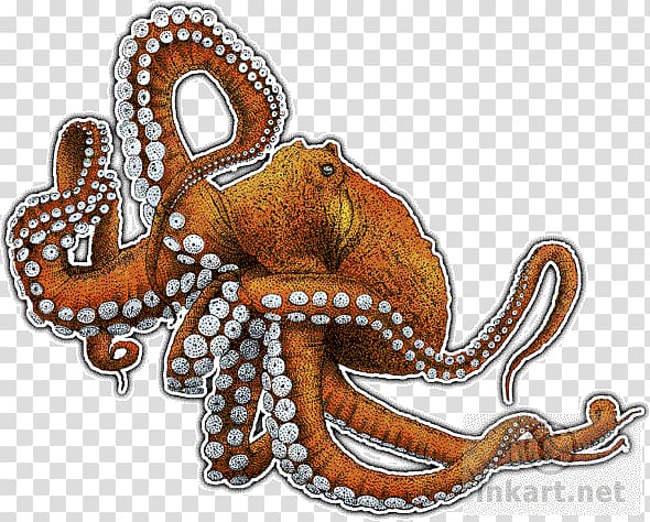 Giant Pacific octopus The Love Letter Cephalopod Art, octopus cartoon transparent background PNG clipart