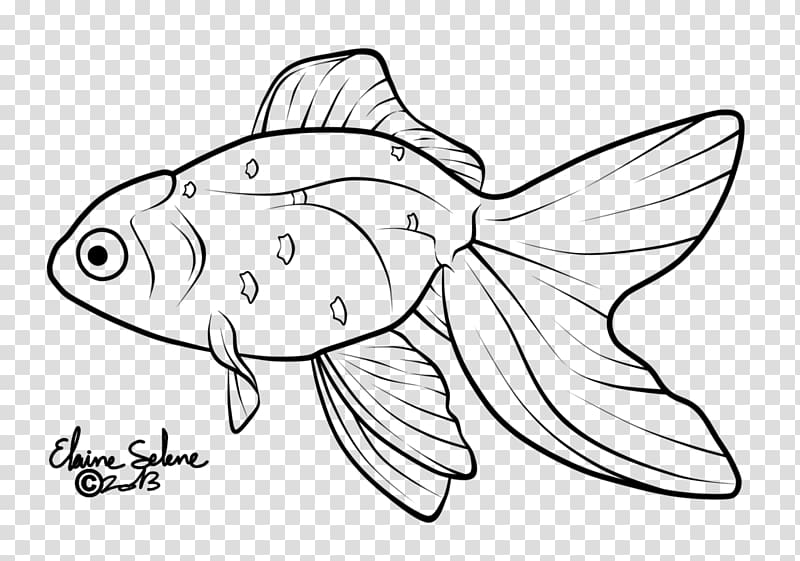 Line art Oranda Drawing Koi , fish transparent background PNG clipart