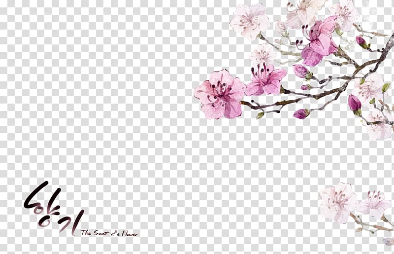 Flower , Romantic Flower transparent background PNG clipart