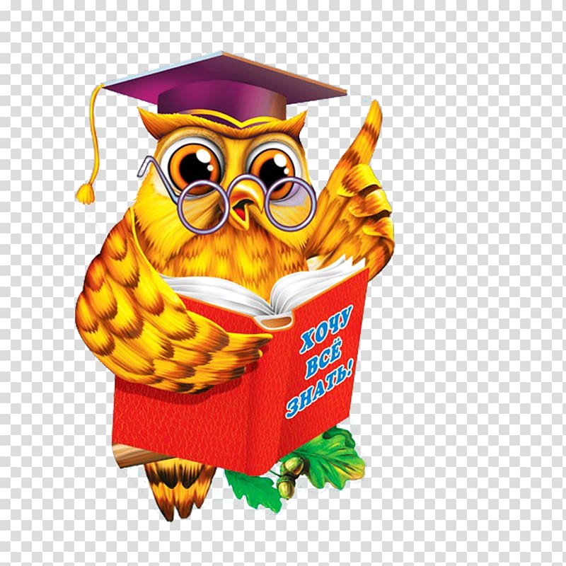 Diploma Kindergarten School Paper Educator, owl transparent background PNG clipart