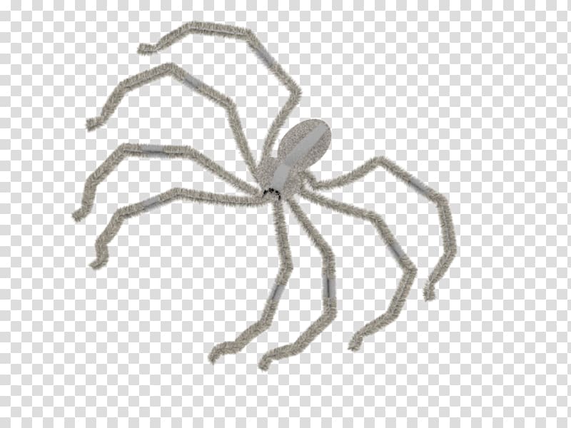 Insect Line Arachnid Pest, insect transparent background PNG clipart