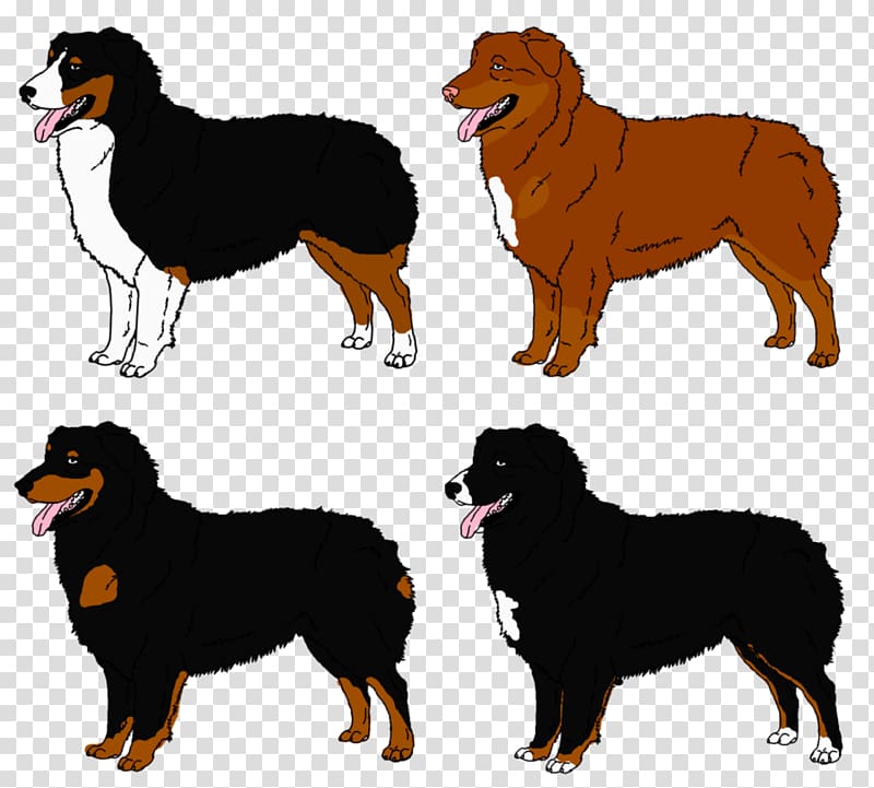 Ancient dog breeds Companion dog Rough Collie, australian shepherd transparent background PNG clipart