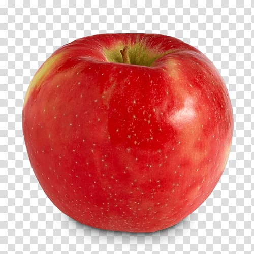 Apple Honeycrisp Food Northern Spy Cortland, delicious transparent background PNG clipart