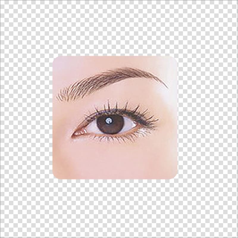 Eyebrow Make-up Face Drawing, eyebrow transparent background PNG clipart