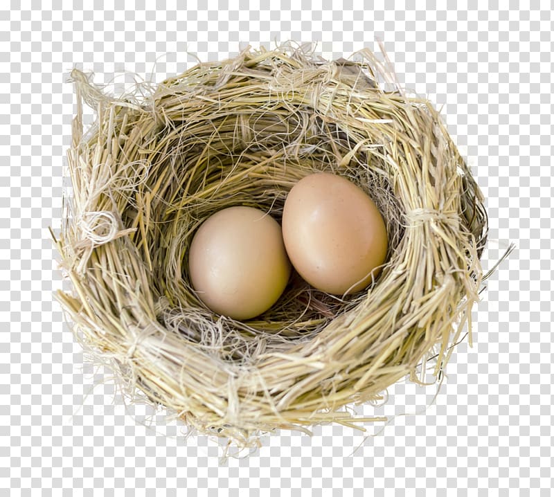 two brown eggs in nest, Bird , Bird Nest transparent background PNG clipart