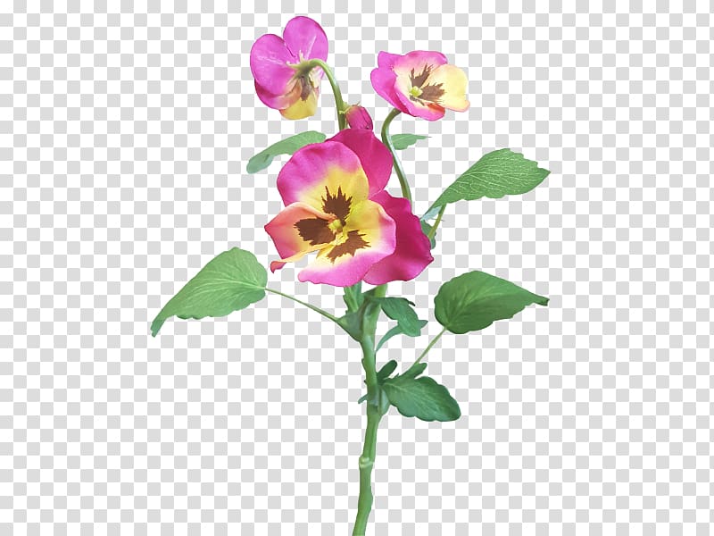 Rose family Violet Cut flowers Plant stem Petal, violet transparent background PNG clipart