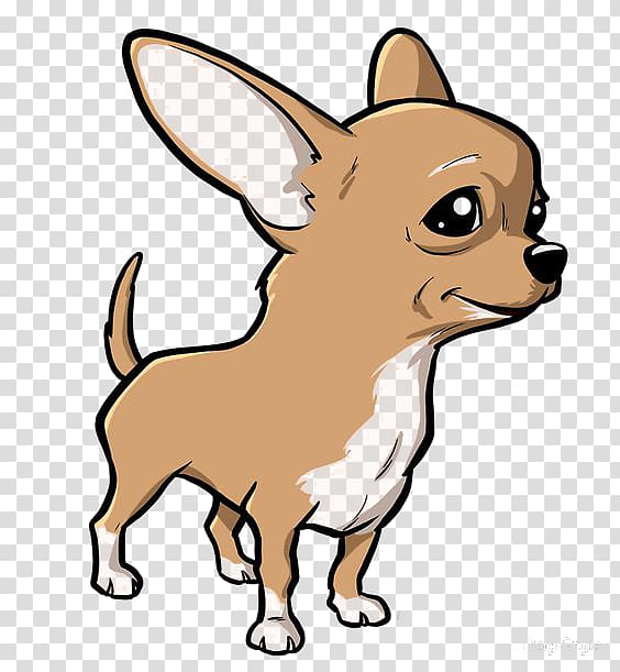 chihuahuas transparent background PNG clipart
